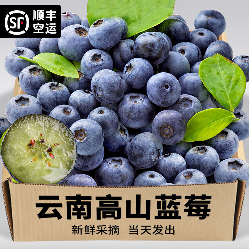 云南花香蓝莓现摘顺丰空运大果