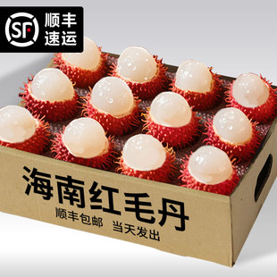顺丰包邮海南保亭红毛丹新鲜水果毛荔枝孕妇水果礼盒树上熟大果