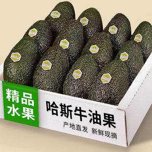 云南正宗哈斯牛油果孟连当季一级新鲜水果即食孕妇鳄梨奶油果整箱