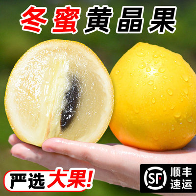 云南冬蜜牛奶黄晶果5斤整箱