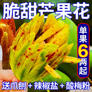 广西芒果花生吃脆甜芒果青芒果新鲜水果酸野青芒生吃脆甜9斤包邮