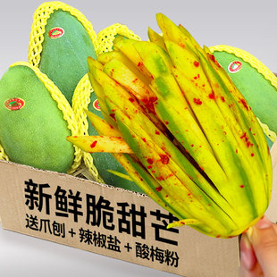 广西青芒果生吃脆甜芒果新鲜水果芒果花酸野青芒生吃脆甜9斤 包邮