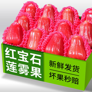正宗红宝石莲雾水果海南新鲜莲雾果5斤现摘大果连雾整箱顺丰包邮3