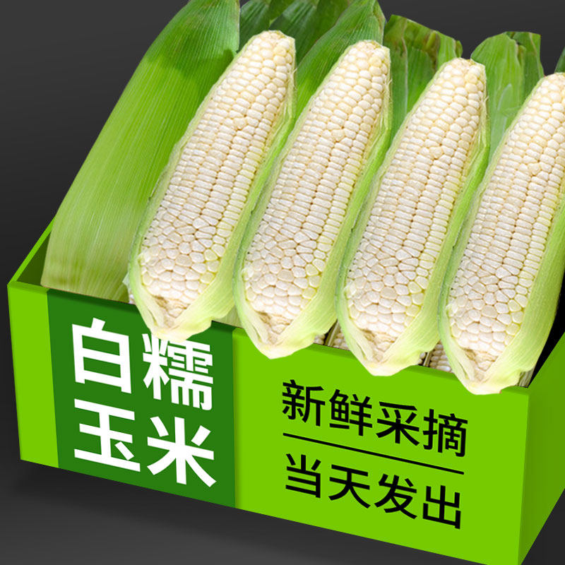 广西9斤农家新鲜白甜糯玉米