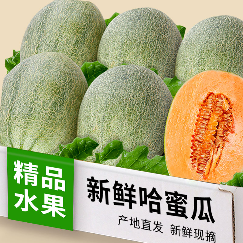 正宗哈密瓜津果鲜包邮