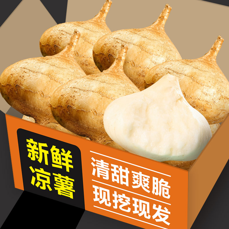 9斤地萝卜云南凉薯津果鲜包邮
