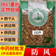 中药材市场批 发无硫防风非北防风片关防风1000g统货实体药材店