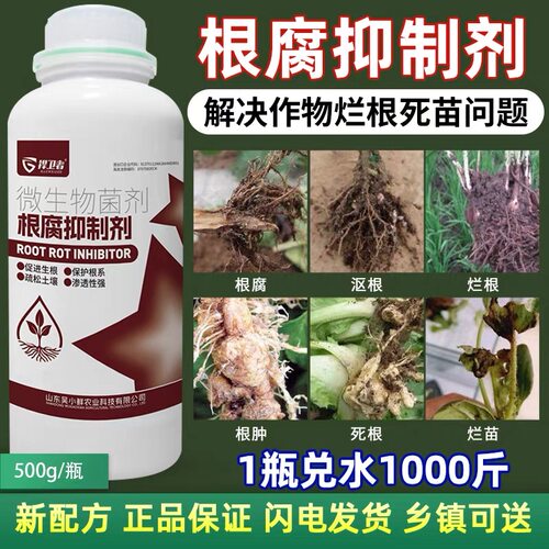 根腐抑制剂重茬根腐克星生根壮苗