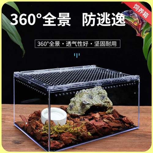 BG磁吸结构高透爬宠饲养箱
