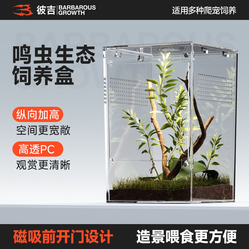 小型爬宠鸣虫饲养盒生态雨林造景塑料宠物跳蛛蜘蛛螳螂昆虫爬虫盒图片