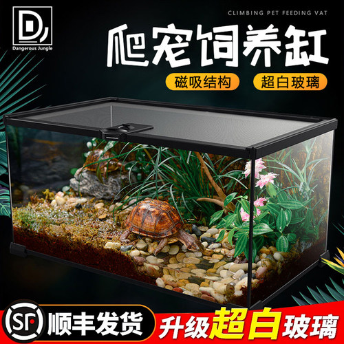 BG爬宠饲养箱守宫蜥蜴蛇