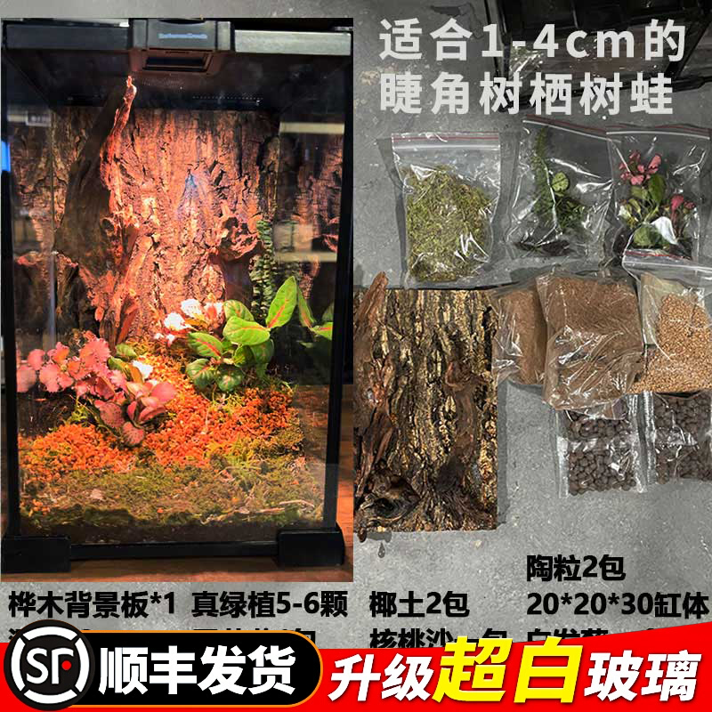 BG睫角守宫饲养箱生态雨林造景