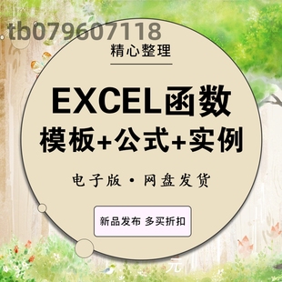 Excel函数公式实例讲解模板应用图表 VBA会计宝典大全财务管理人