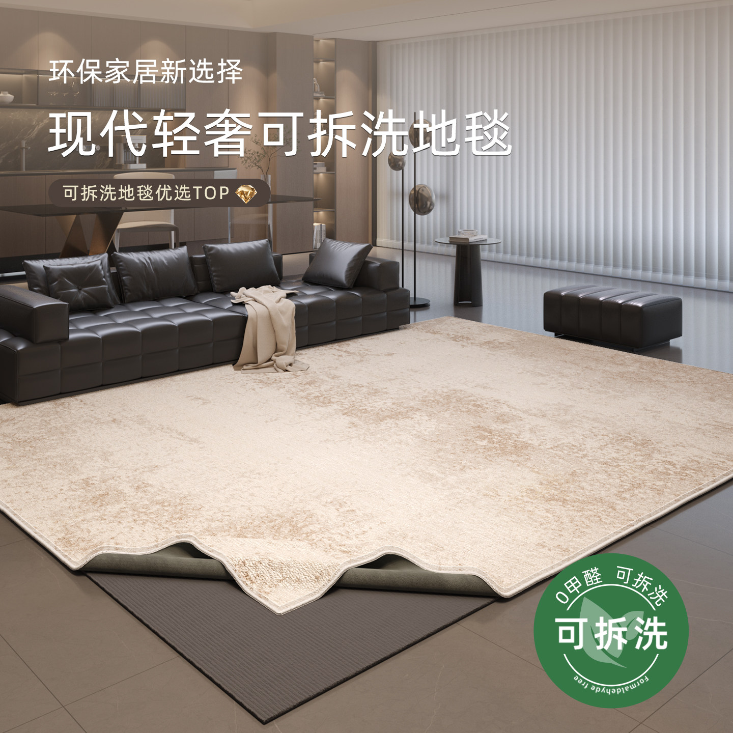 可拆洗地毯客厅沙发轻奢高级卧室床边毯免打理双层地毯地垫可机洗