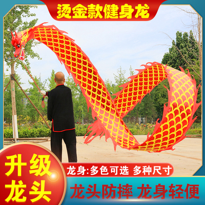 广场健身龙甩龙手绳舞龙彩带飘带