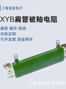 RXYB RXGB 扁型扁形扁管电阻被釉线绕电阻 55W 25R J 25欧 带支架