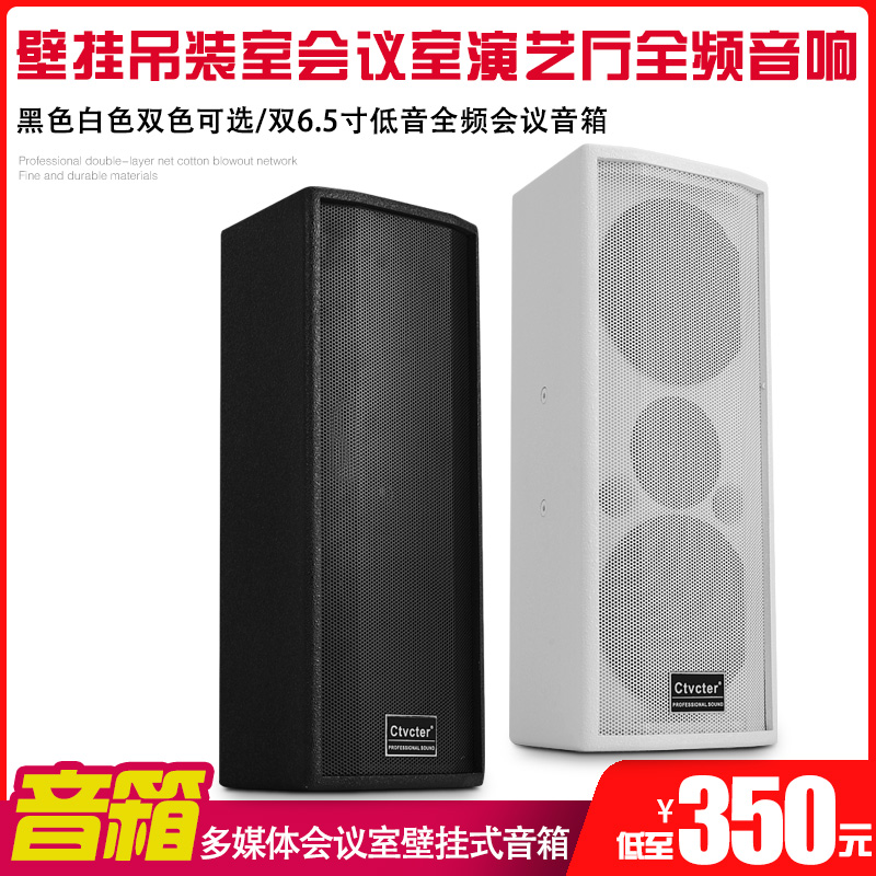 会议音箱双6.5寸多媒体演讲音柱公共广播家庭K歌无源音响吊装音箱