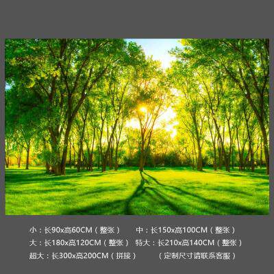 vision 3d three-dimensional mural natural Forest Scenery autohesion Wall stickers Walls painted decorate wallpaper Self-adhesive wallpaperin the Home accessories , Stickers , Wall Stickers  category - from Buy2taobao.com to provide professional Taobao agent buy service