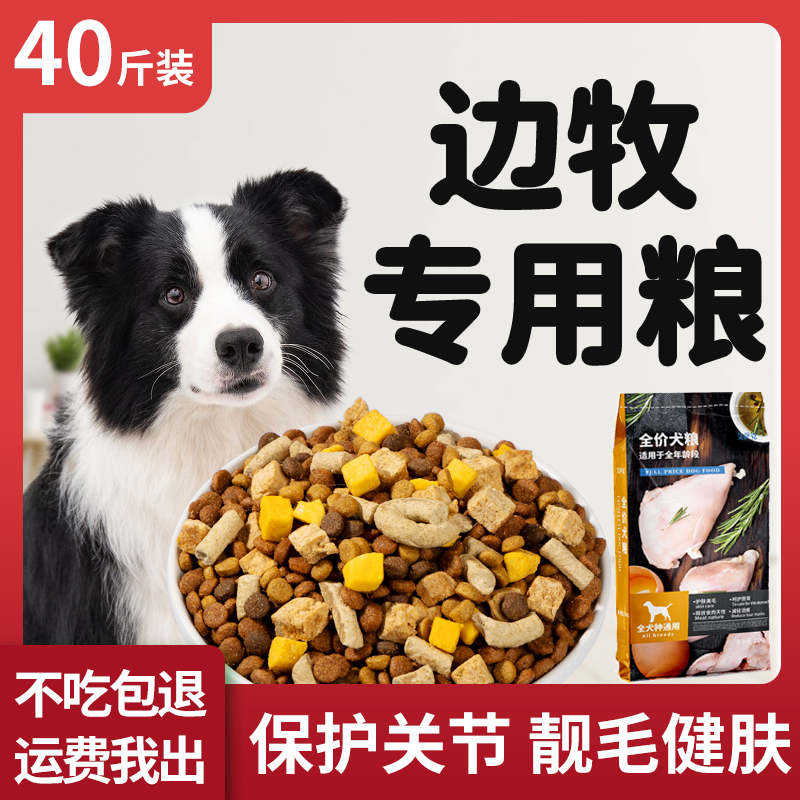 美毛边境牧羊犬冻干粮