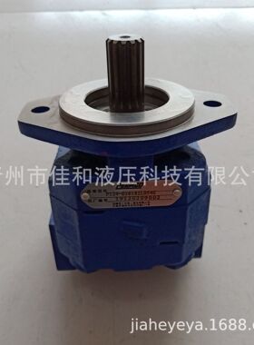 P124B085ERZA12钻机齿轮泵 多种规格 运行稳定