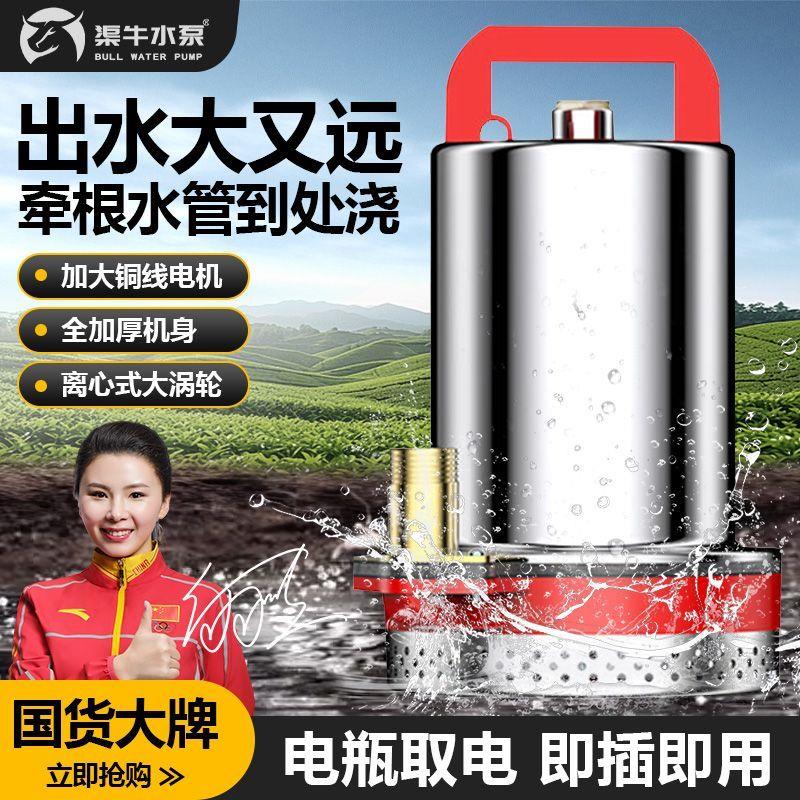 德国进口直流潜水泵48v60V72V电瓶车专用12v抽水水泵户外灌溉浇菜