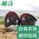 湖北松淳皮蛋松花蛋 松花皮蛋鸭皮蛋 6枚尝鲜装 无铅溏心皮蛋 变蛋