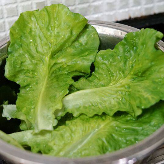 仿真蔬菜模型烧烤生菜叶