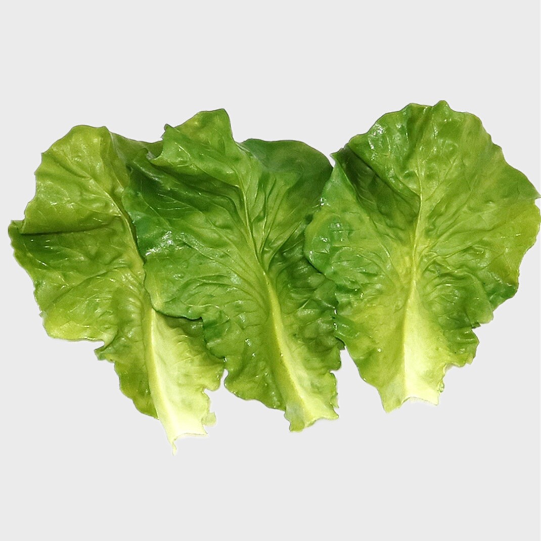 新款软生菜叶仿真塑料生菜叶摆盘烧烤盘子塑胶垫盆酒店商用假叶子
