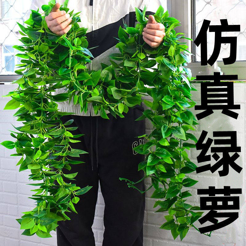 绿藤蔓条仿真绿萝长藤罗兰水管遮丑客厅摆花仿真绿植假花长款长条