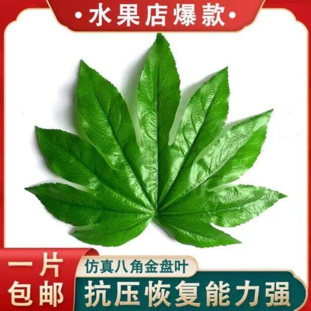仿真八角金盘叶水果店装饰用品假塑料树叶子胶片叶铺垫装饰摆盘