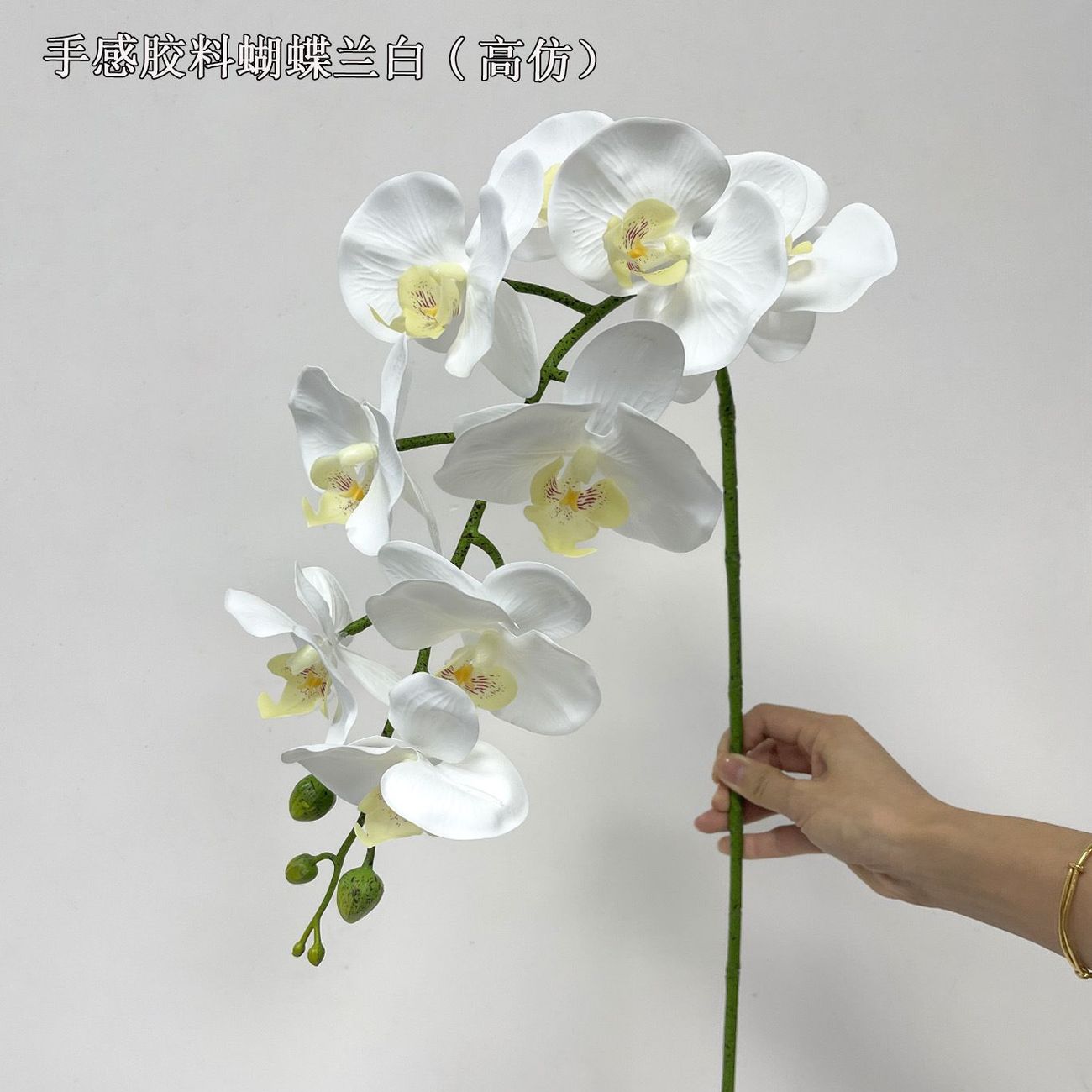 9头手感仿真蝴蝶兰 逼真湿感假花酒店前台餐桌花艺装饰摆件图片