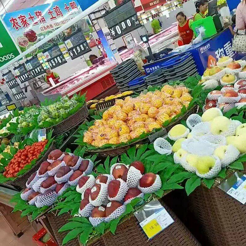 仿真八角金盘叶水果店装饰摆盘叶
