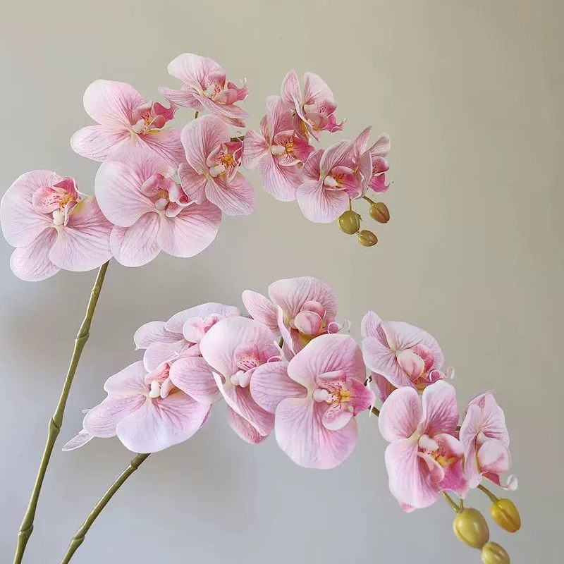 湿感仿真蝴蝶兰假花 高级单支手感花客厅餐桌插花家居装饰摆件