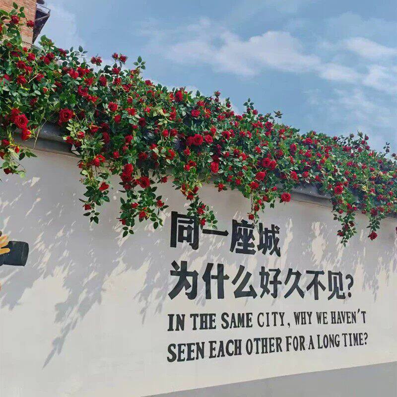 假花藤玫瑰花藤蔓室内造景装饰空调管道缠绕遮挡壁挂花条