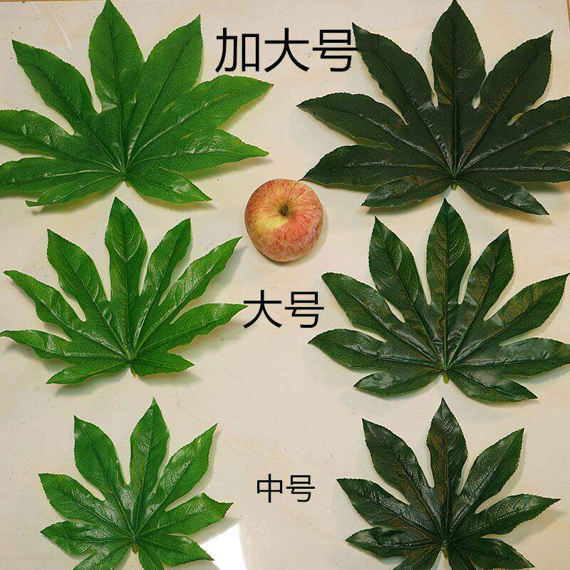 仿真八角金盘叶水果店装饰用品假塑料发财树叶胶片叶铺垫摆盘