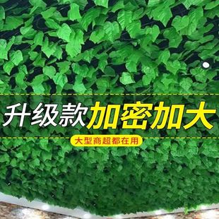 仿真葡萄叶藤蔓藤条绿树叶子水管道遮挡吊顶装饰塑料绿萝植物缠绕