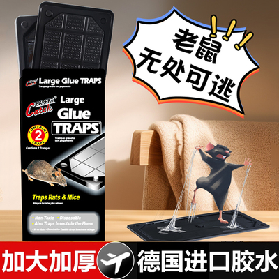 粘鼠板强力粘鼠标超强老鼠贴新款家用强力胶抓杀大老鼠老鼠板灭鼠