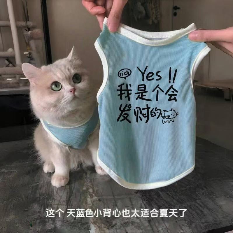 猫咪狗狗衣服春夏季宠物猫银渐层蓝猫防掉毛透气可爱清凉冰丝背心
