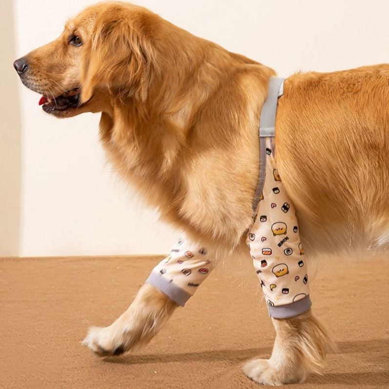 边牧中大型犬狗狗前腿护肘衣狗狗护肘关节保护套防磨护腿宠物护膝
