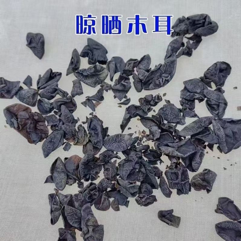 加厚晾晒网茶青专用晒网晒干菜晒谷子晒红薯晒麦地垫防蚊虫晾晒网