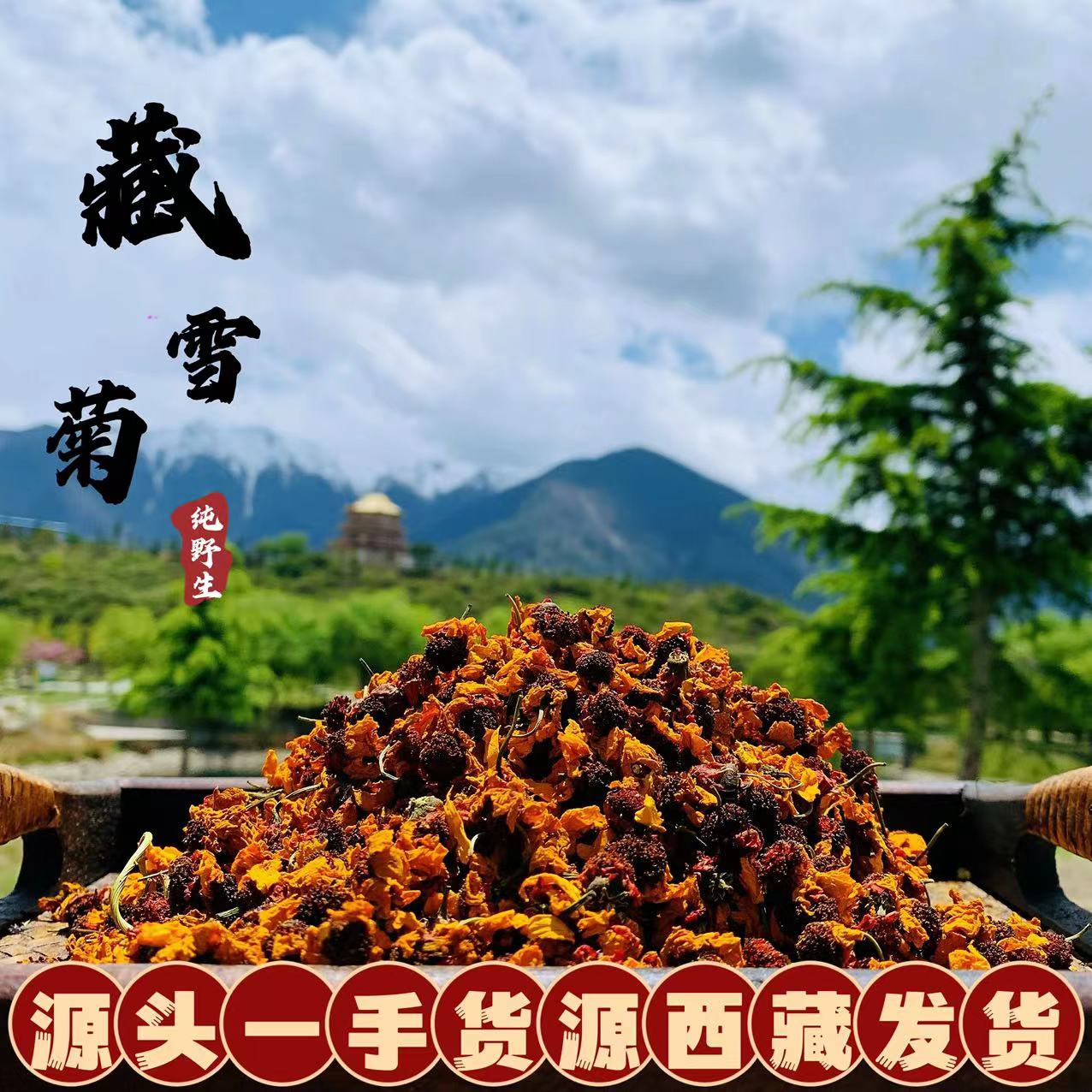 西藏直发冰山雪菊西藏昆仑山特产野生冰山花茶胎菊天山血菊茶包邮