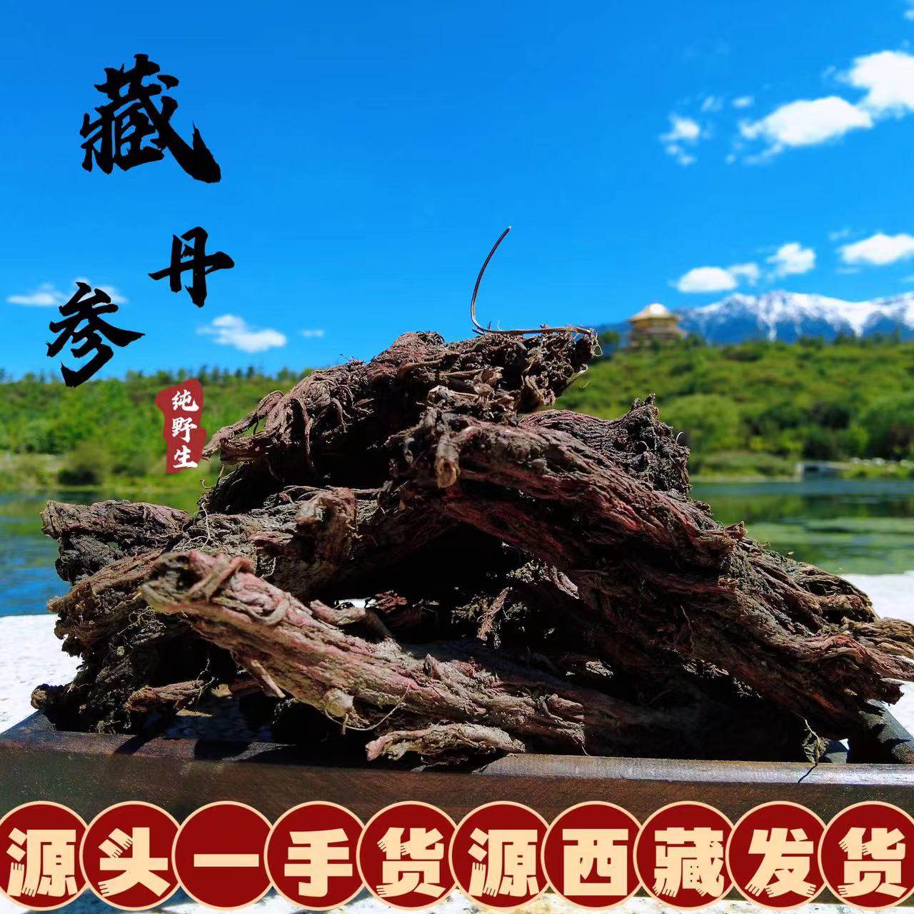 西藏直发野老丹参整根多年生紫丹参粗根林芝中药材药味浓郁250g