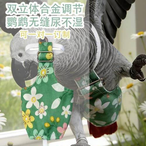 双立体按扣灰鹦鹉鸟飞行服尿不湿