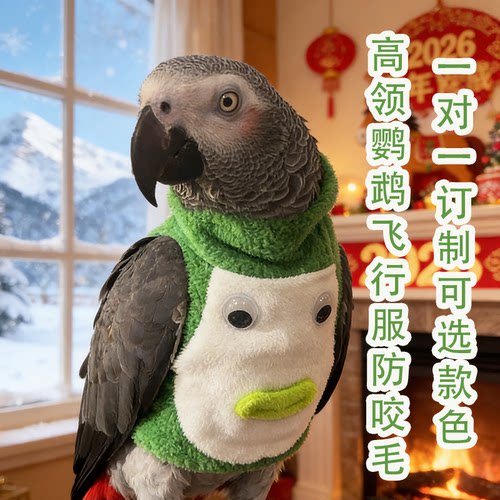 灰鹦鹉鸟高领纽扣保暖防咬飞行服