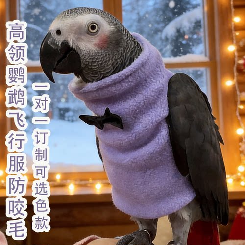 灰鹦鹉高领纽扣飞行服保暖防咬毛