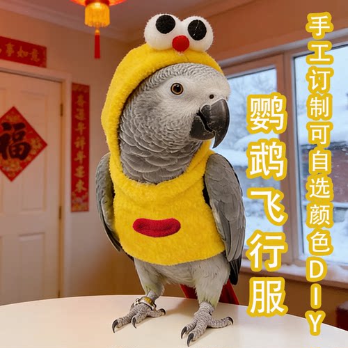 灰机飞行服手工保暖小鸟飞行衣饰