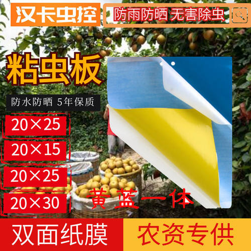 【覆纸】双面粘虫板诱虫防虫板大棚果园黄蓝一体可降解整箱包邮 - 封面