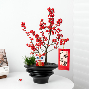 【年宵花】北美冬青红果盆栽室内客厅桌面绿植新年喜庆送礼植物