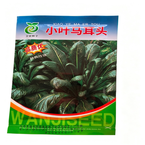 【有种苗】如皋农家马耳头菜当季蔬菜马耳朵菜青菜老品种蔬菜