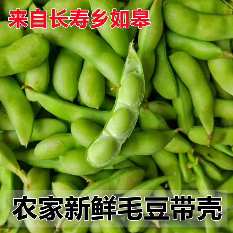 如皋农家新鲜毛豆带壳嫩毛豆角现摘青大豆荚当季蔬菜5斤现摘现发